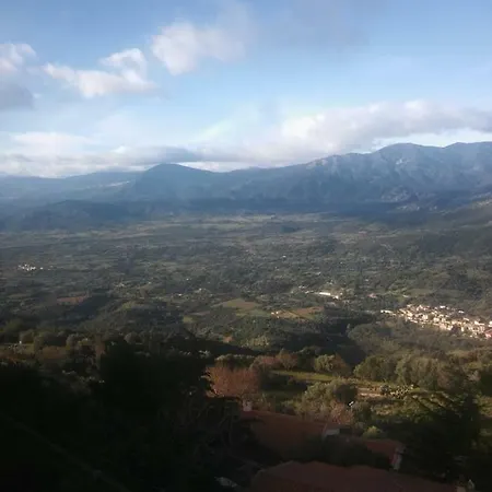 Gennirco * バウネーイ